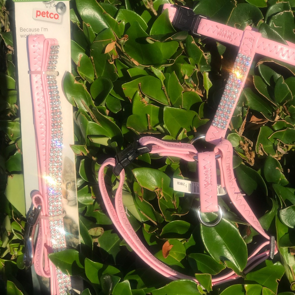 PETCO Bling Leash and Harness Set NWT!
